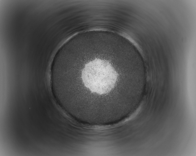 X0000090720933200707201345