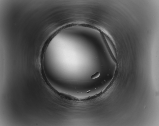 X0000090720935200707201345