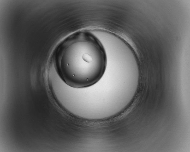 X0000090720936200707201345