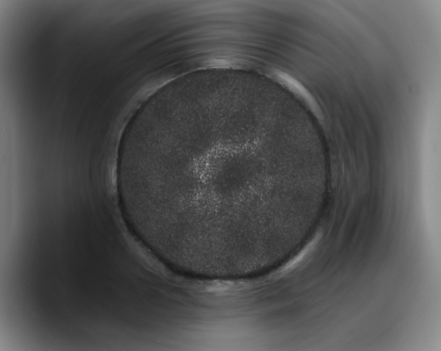 X0000090720938200707201345