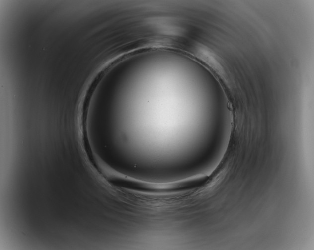 X0000090720939200707201345