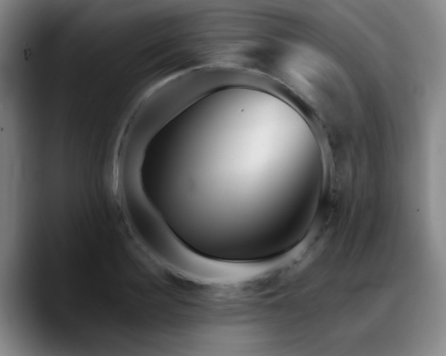 X0000090720940200707201345