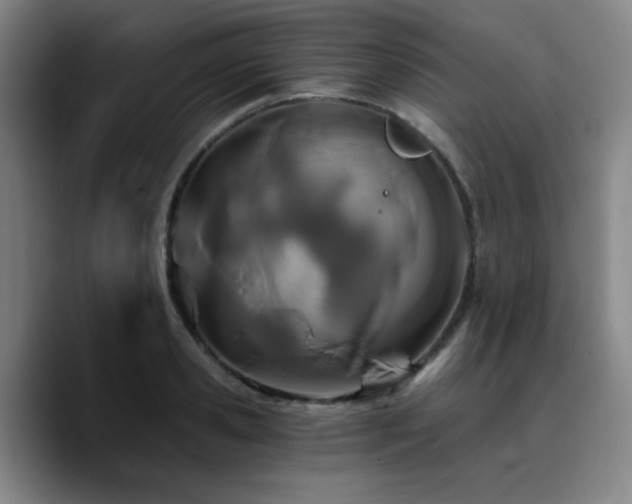 X0000090720941200707201345