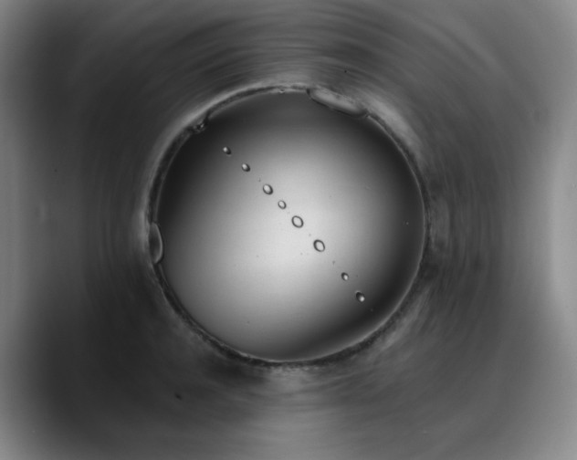 X0000090720944200707201345