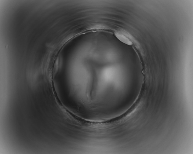 X0000090720945200707201345