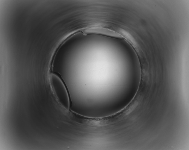 X0000090720948200707201345