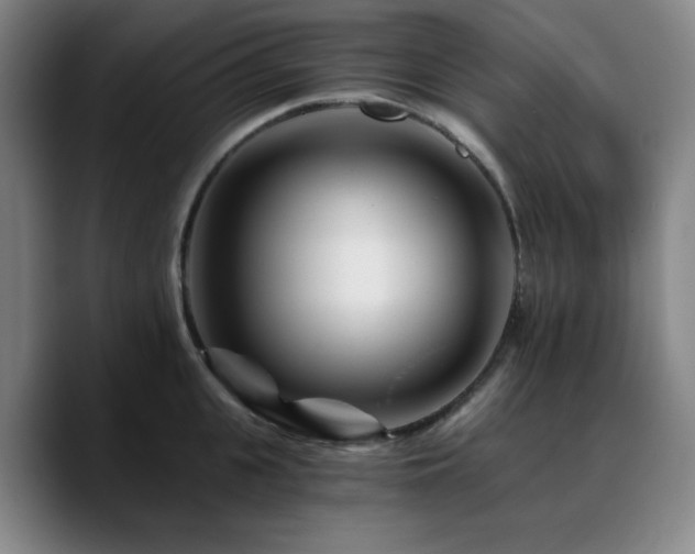 X0000090720951200707201345