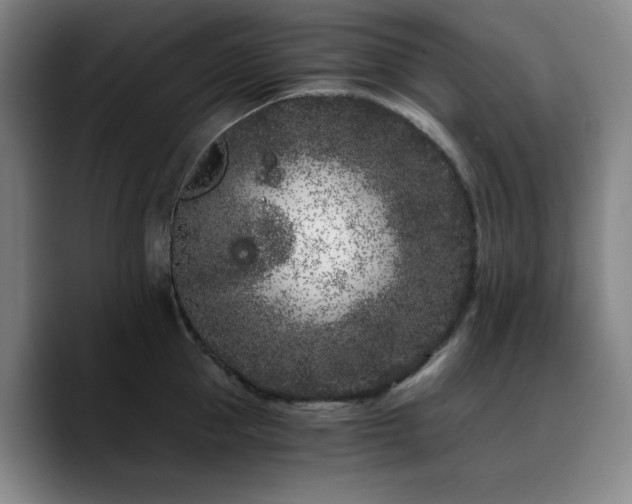 X0000090720953200707201345