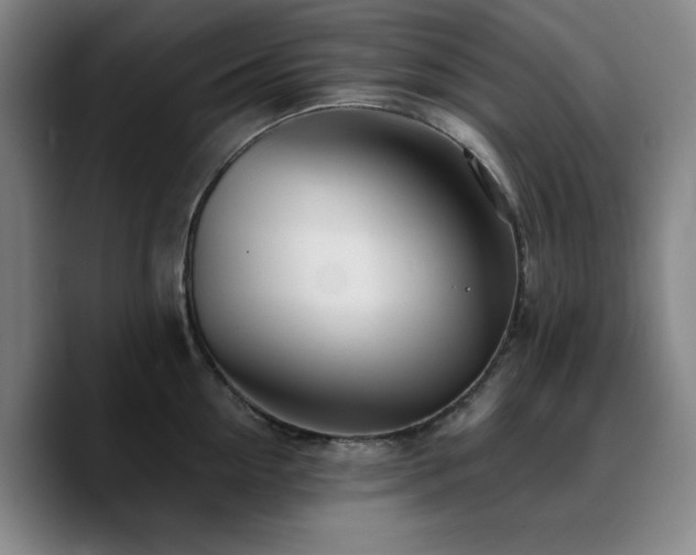 X0000090720954200707201345