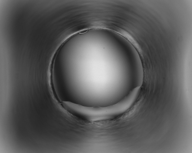 X0000090720955200707201345