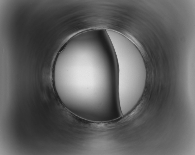X0000090720956200707201345
