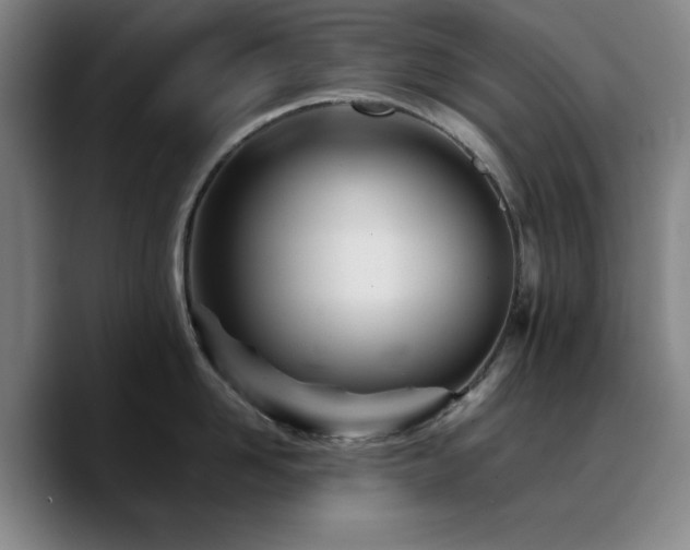 X0000090720958200707201345