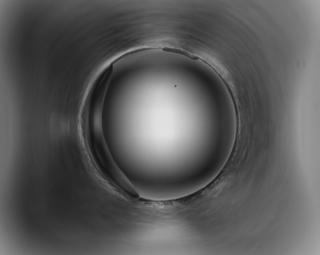 X0000090720960200707201345