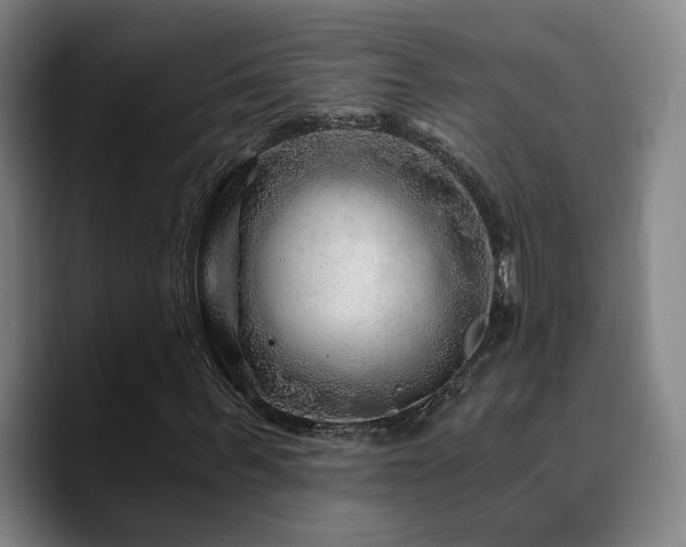 X0000090720963200707201345