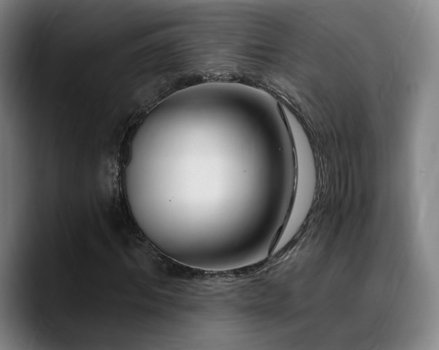 X0000090720964200707201345