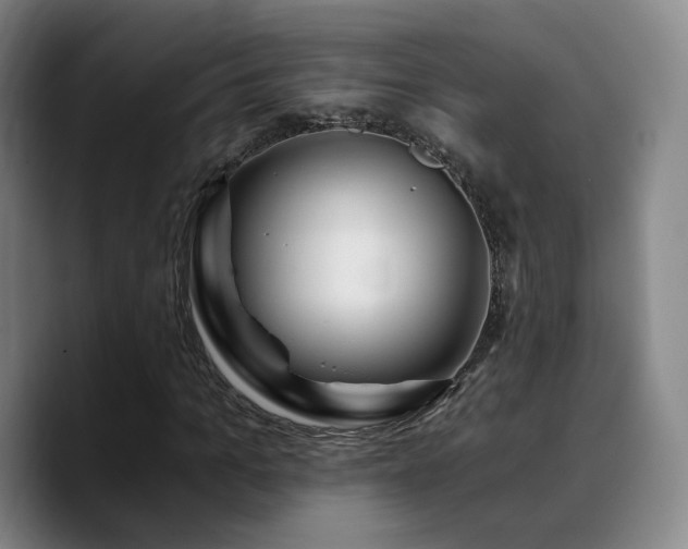 X0000090720965200707201345