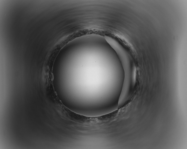 X0000090720968200707201345
