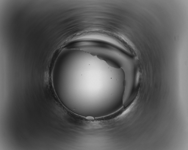 X0000090720969200707201345