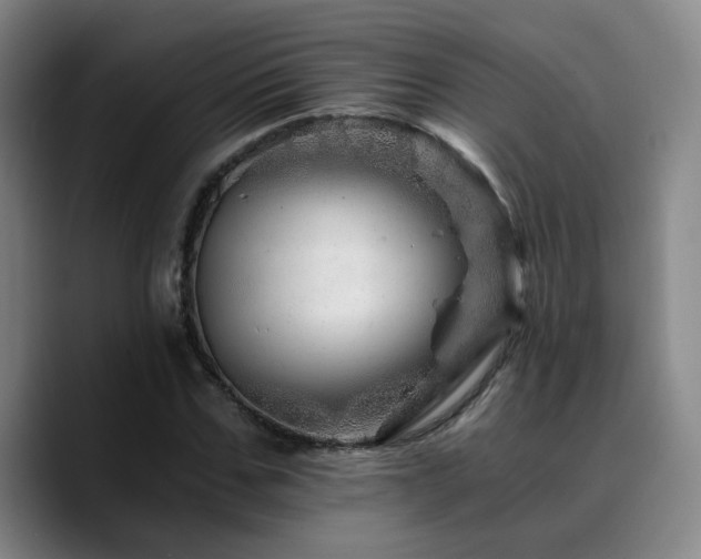 X0000090720971200707201344
