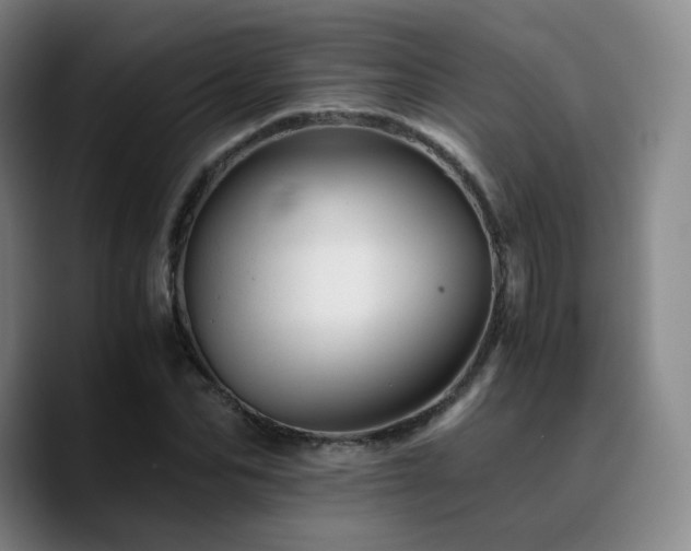 X0000090720974200707201344