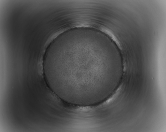 X0000090720978200707201344