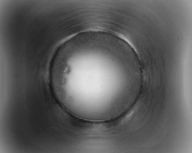 X0000090720979200707201344
