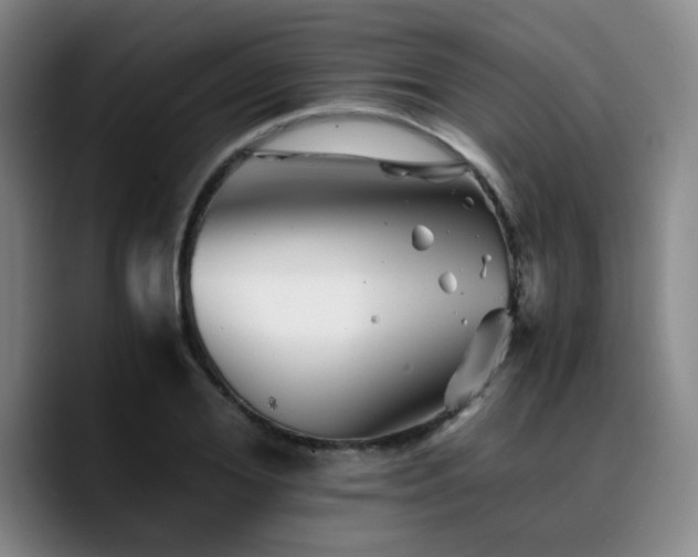 X0000090720980200707201344