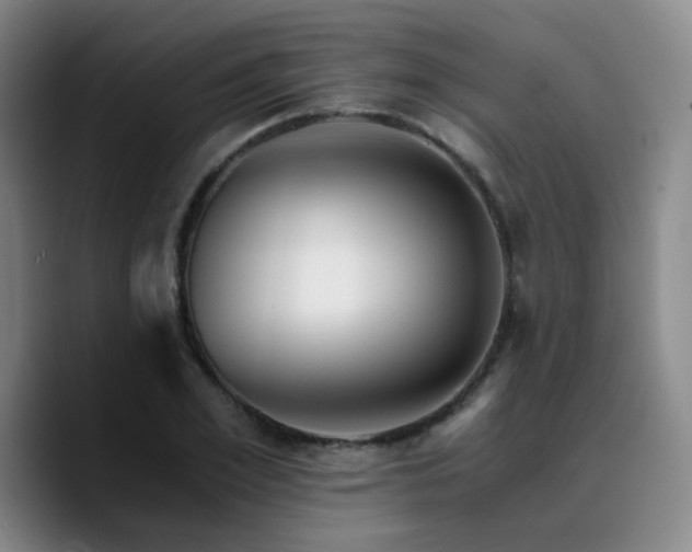 X0000090720981200707201344