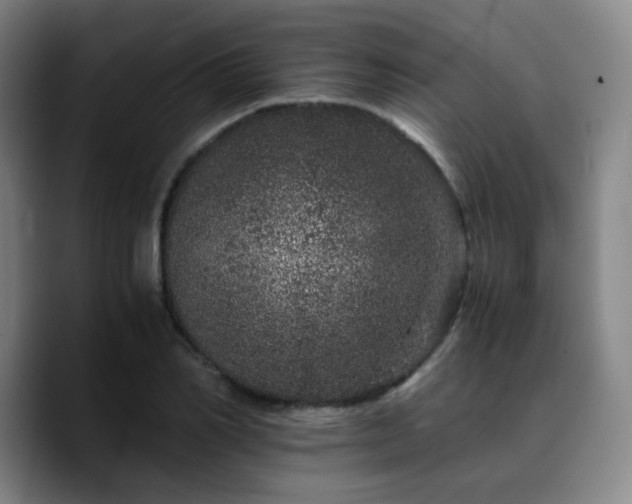 X0000090720982200707201344