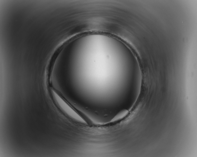 X0000090720983200707201344