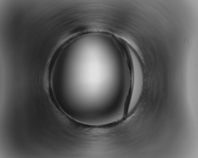 X0000090720984200707201344