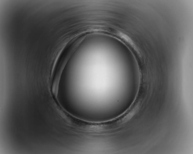X0000090720985200707201344