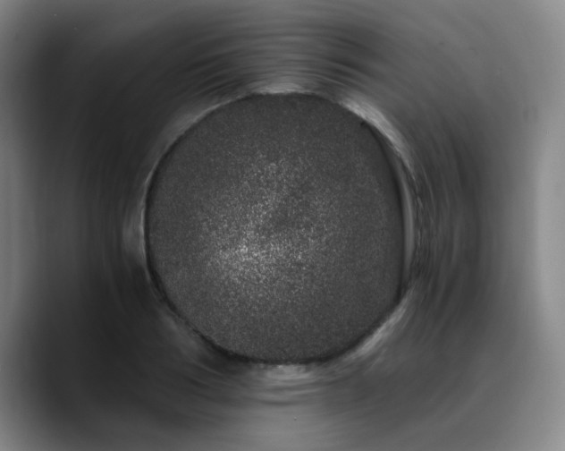 X0000090720986200707201344