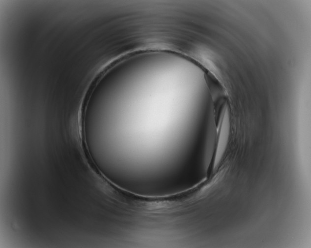 X0000090720988200707201344