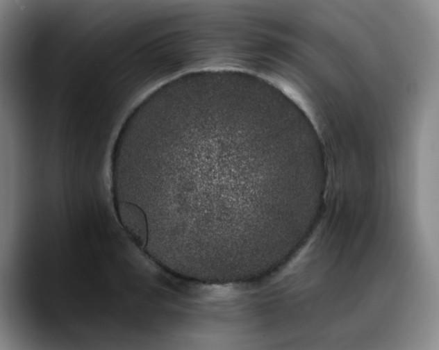 X0000090720990200707201344