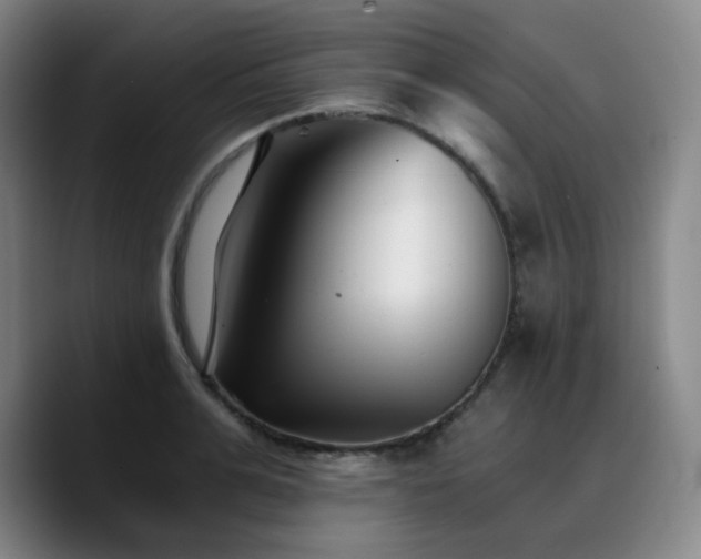 X0000090720991200707201344