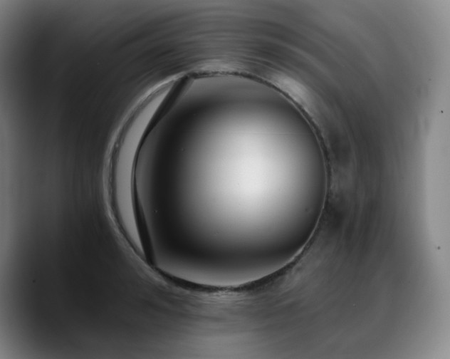 X0000090720992200707201344