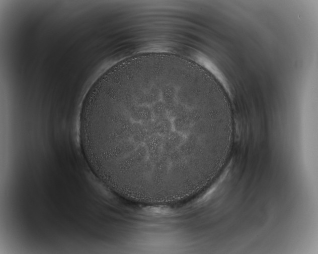 X0000090720994200707201344