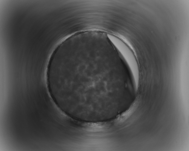 X0000090720995200707201344