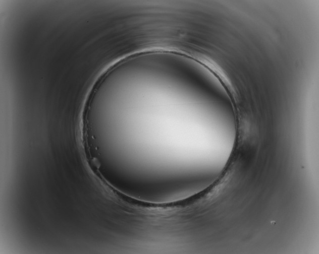 X0000090720996200707201344