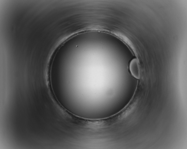 X0000090720997200707201344