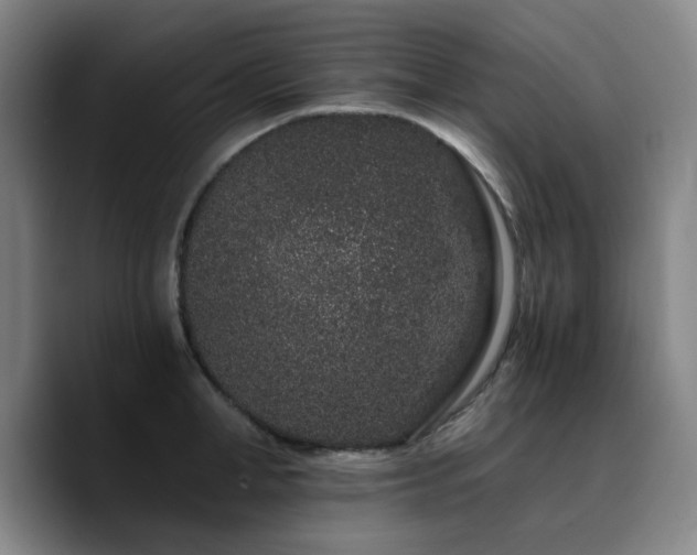 X0000090720998200707201344