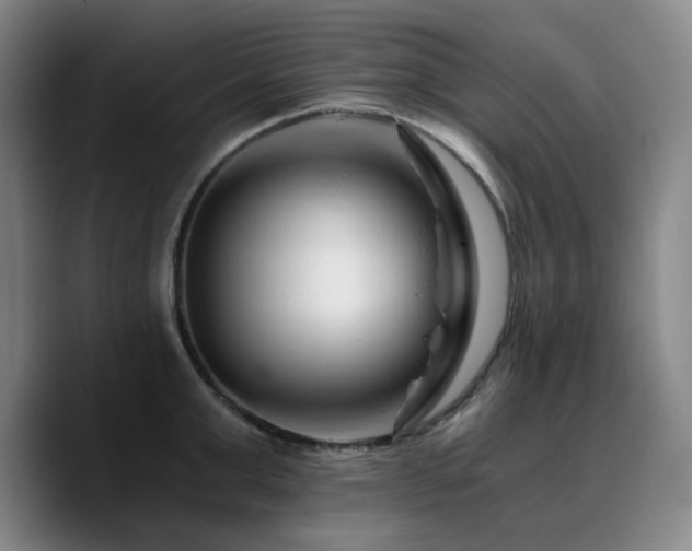 X0000090720999200707201344