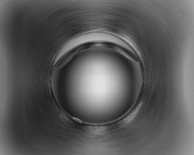 X0000090721001200707201344