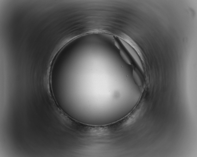 X0000090721002200707201344