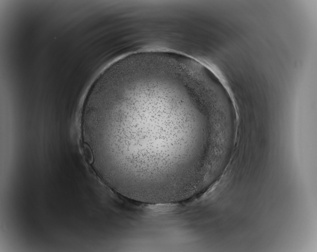 X0000090721008200707201344