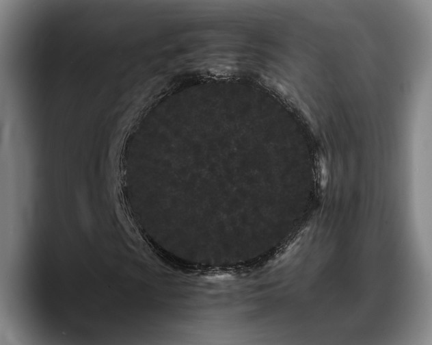 X0000090721009200707201343