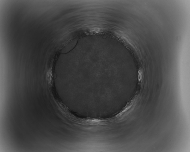 X0000090721011200707201343