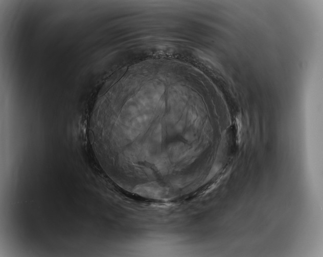 X0000090721013200707201343