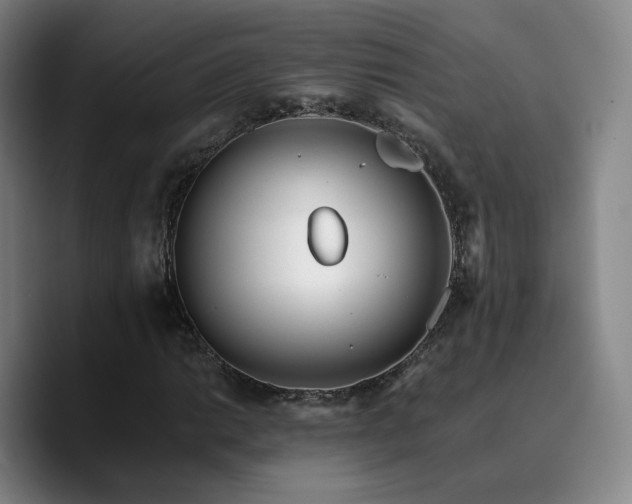 X0000090721014200707201343
